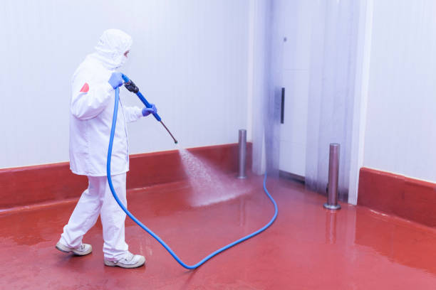 Best Solar Panel Cleaning  in Rice Lake, MN